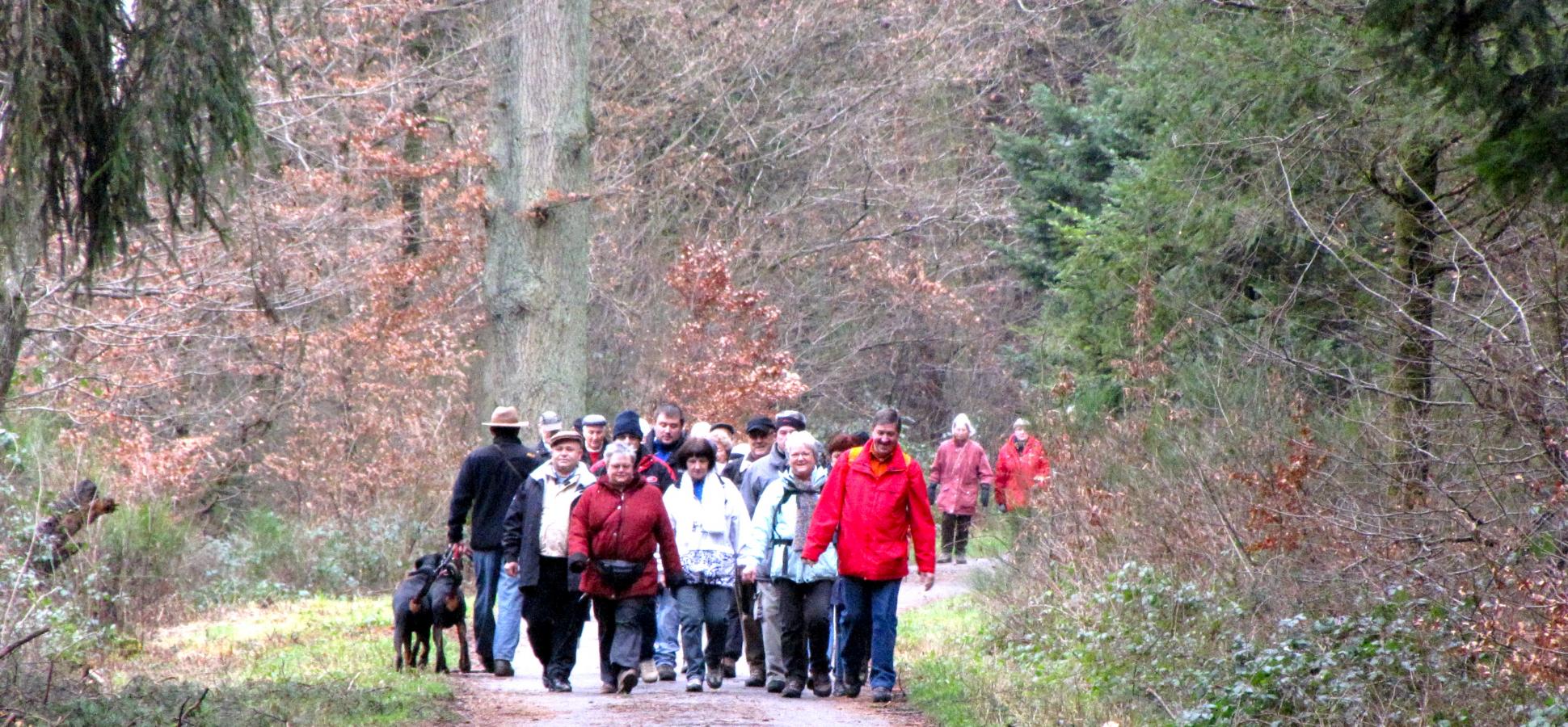 Wandern